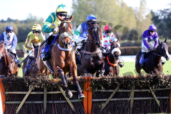 Race 3 - Jersey Bean (4)