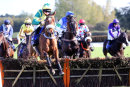 Race 3 - Jersey Bean (4)