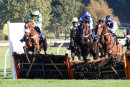 Race 3 - Jersey Bean (5)
