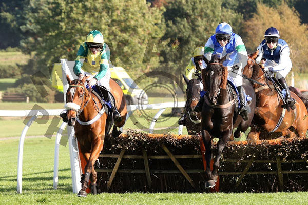Race 3 - Jersey Bean (6)
