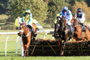 Race 3 - Jersey Bean (6)