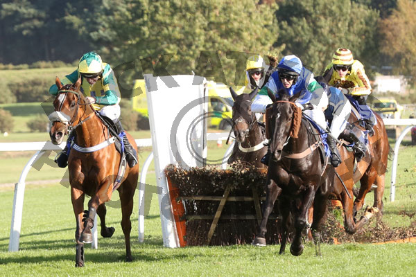 Race 3 - Jersey Bean (7)