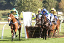 Race 3 - Jersey Bean (7)