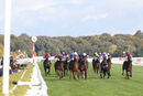 Race 3 - Jimi Hendrix (2)