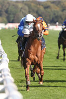 Race 3 - Jimi Hendrix (7)