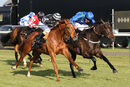 Race 3 - Kalma (13)