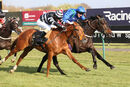 Race 3 - Kalma (15)