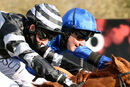 Race 3 - Kalma (20)