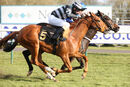 Race 3 - Kalma (22)