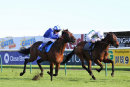 Race 3 - Kinaesthesia (5)