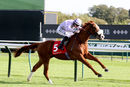Race 3 - King Carney (4)
