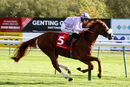 Race 3 - King Carney (6)