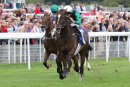 Race 3 - Limato (3)