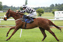 Race 3 - Lucky Robin (10)