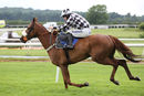 Race 3 - Lucky Robin (11)