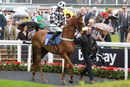 Race 3 - Lucky Robin (2)