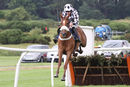 Race 3 - Lucky Robin (7)