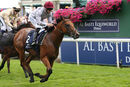 Race 3 - Lusail (4)