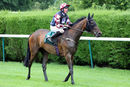 Race 3 - Maid In Manhattan (11)