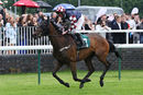 Race 3 - Maid In Manhattan (5)