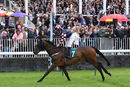 Race 3 - Maid In Manhattan (9)