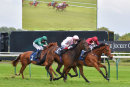 Race 3 - Maid To Remember (12)