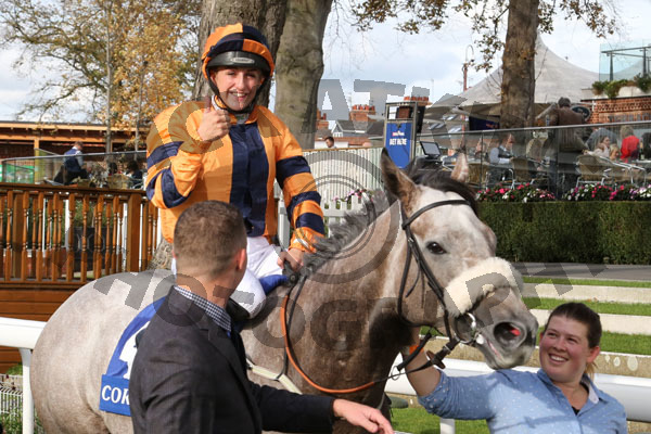 Race 3 - Major Jumbo (4)