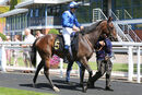 Race 3 - Mejthaam (2)