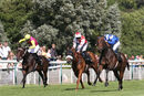 Race 3 - Mejthaam (3)