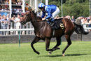 Race 3 - Mejthaam (7)