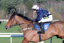 Race 3 - Minella Fiveo (3)