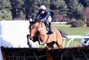 Race 3 - Minella Fiveo (4)