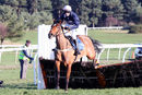 Race 3 - Minella Fiveo (5)