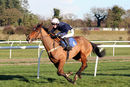 Race 3 - Minella Fiveo (6)