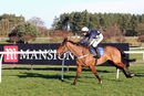 Race 3 - Minella Fiveo (8)