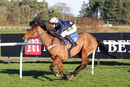 Race 3 - Minella Fiveo (9)