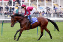Race 3 - Mishriff (7)
