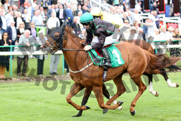 Race 3 - Mr Strutter (9)