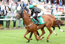 Race 3 - Mr Strutter (9)