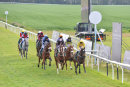Race 3 - Mutadaffeq (5)