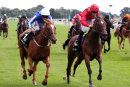 Race 3 - Mystic Dawn (16)
