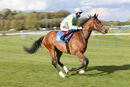 Race 3 - Nagano (2)