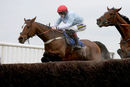 Race 3 - Nikki Steel (2)