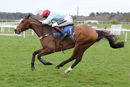 Race 3 - Nikki Steel (8)