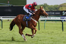 Race 3 - Nuits St Georges (10)