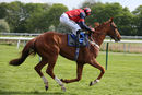 Race 3 - Nuits St Georges (14)