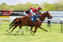 Race 3 - Nuits St Georges (4)