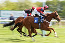 Race 3 - Nuits St Georges (5)