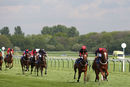 Race 3 - Nuits St Georges (7)