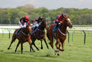 Race 3 - Nuits St Georges (8)